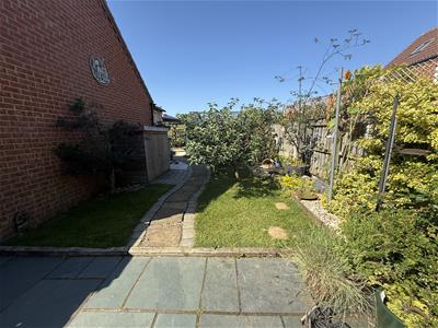 Picture 21